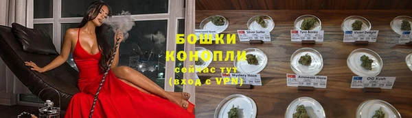 прущие грибы Горно-Алтайск