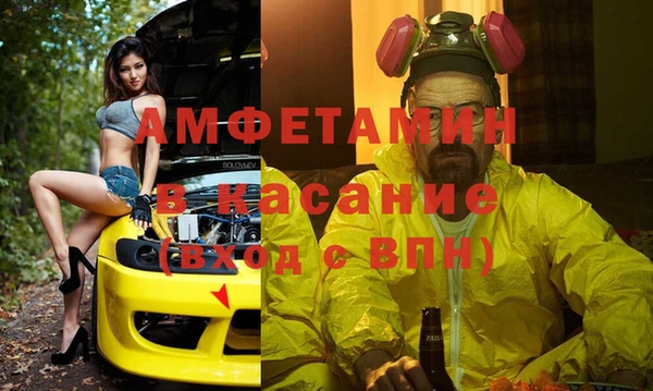 прущие грибы Горно-Алтайск