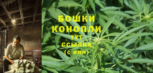 прущие грибы Горно-Алтайск