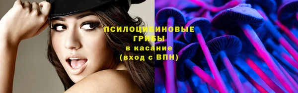 прущие грибы Горно-Алтайск