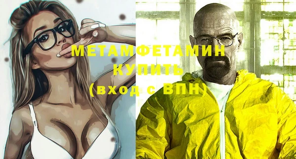 прущие грибы Горно-Алтайск