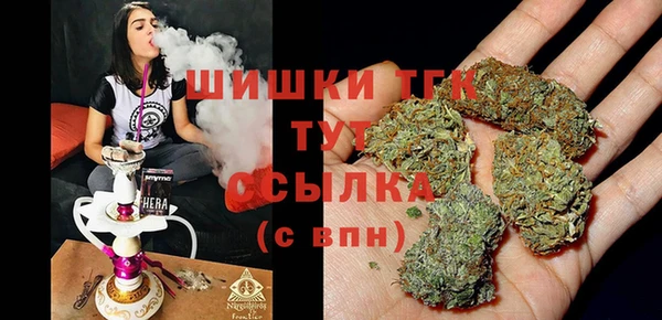 прущие грибы Горно-Алтайск
