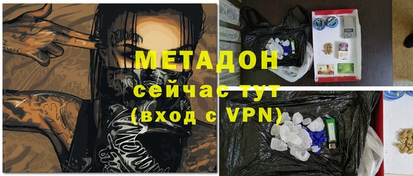 прущие грибы Горно-Алтайск