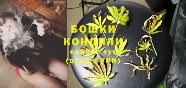 прущие грибы Горно-Алтайск