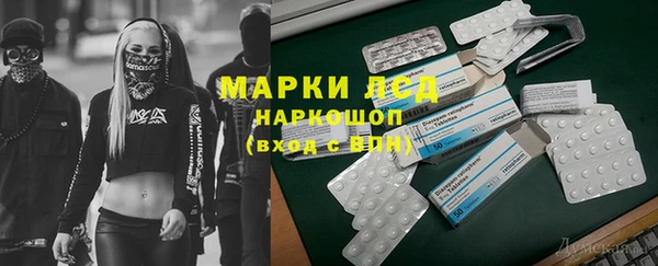 прущие грибы Горно-Алтайск