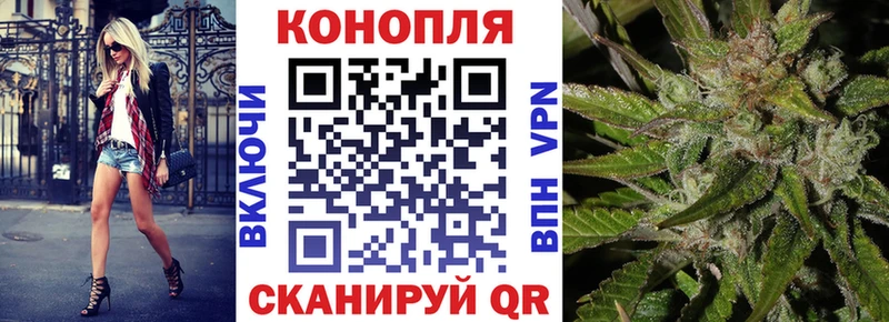 Каннабис OG Kush Ковров